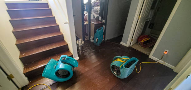 Best 24/7 water damage repair  in Tempe, AZ