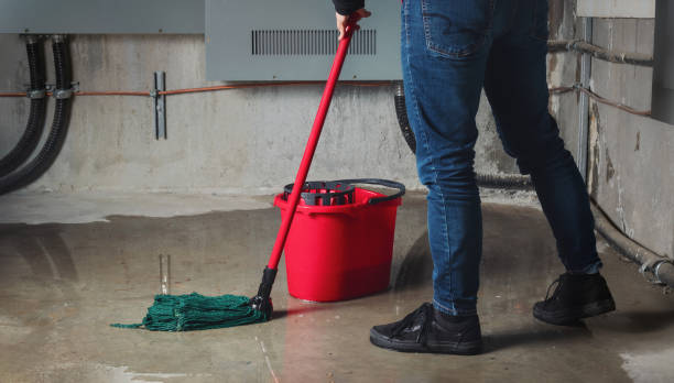 Best Local water damage restoration  in Tempe, AZ