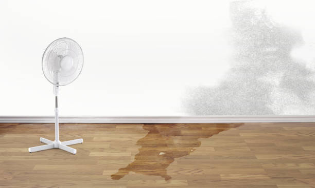 Best Sewage cleanup and water damage restoration  in Tempe, AZ