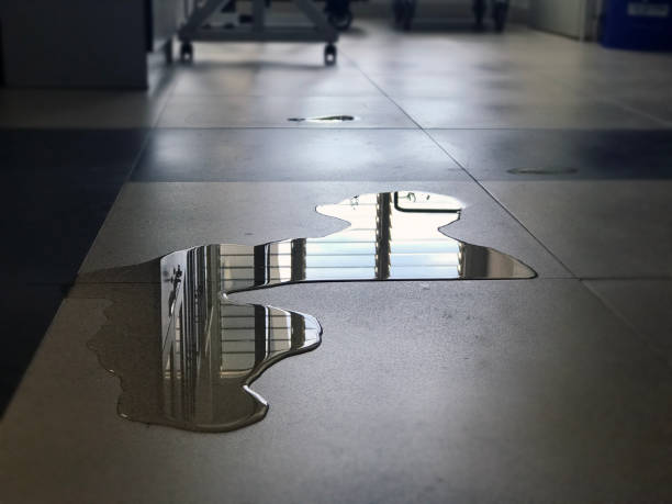 Best Flood damage cleanup  in Tempe, AZ