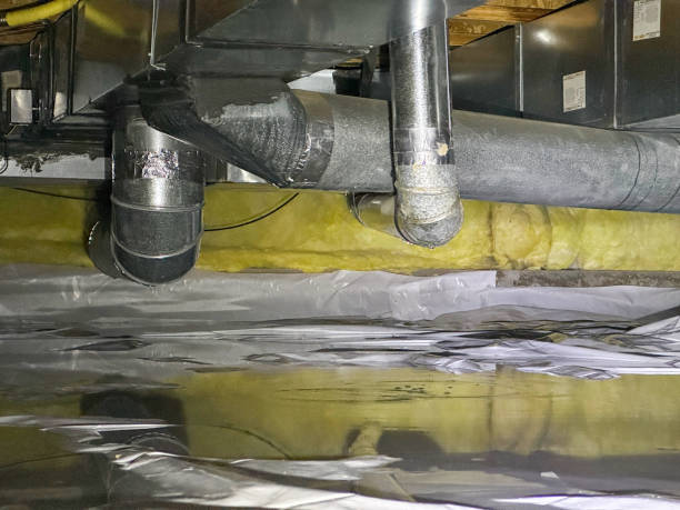 Best Emergency water extraction  in Tempe, AZ