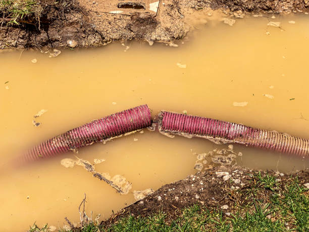 Reliable Tempe, AZ Water damage restoration Solutions
